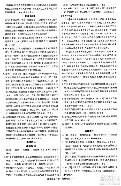 河海大学出版社2024年春经纶学典学霸组合训练九年级语文下册常州专版答案