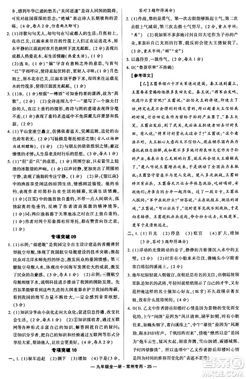 河海大学出版社2024年春经纶学典学霸组合训练九年级语文下册常州专版答案