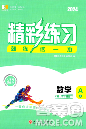 浙江工商大学出版社2024年春精彩练习就练这一本八年级数学下册浙教版答案