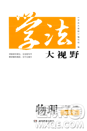 湖南教育出版社2024年春学法大视野八年级物理下册人教版答案