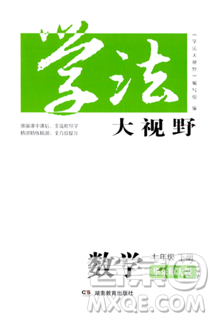 湖南教育出版社2024年春学法大视野七年级数学下册华东师大版答案