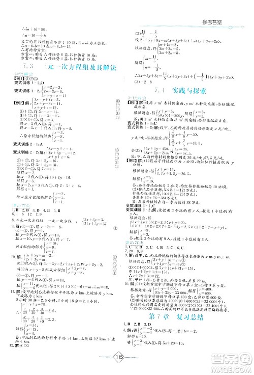 湖南教育出版社2024年春学法大视野七年级数学下册华东师大版答案