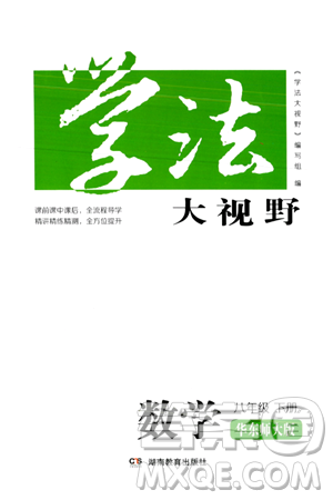 湖南教育出版社2024年春学法大视野八年级数学下册华东师大版答案