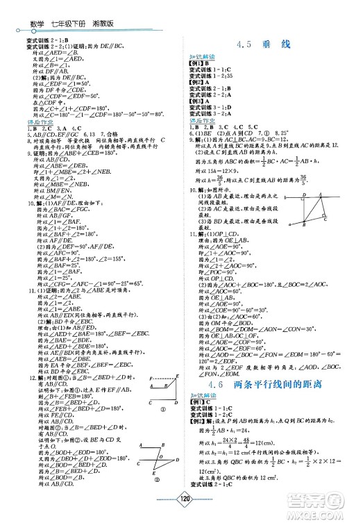 湖南教育出版社2024年春学法大视野七年级数学下册湘教版答案