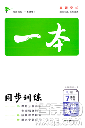 湖南教育出版社2024年春一本同步训练七年级数学下册人教版答案