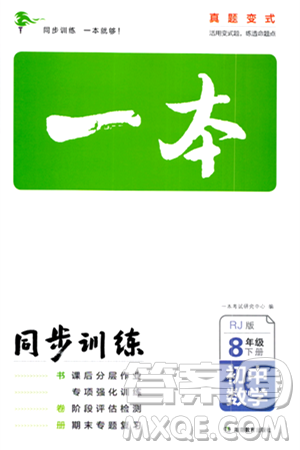 湖南教育出版社2024年春一本同步训练八年级数学下册人教版答案 湖南教育出版社2024年春一本同步训练八年级数学下册人教版答案