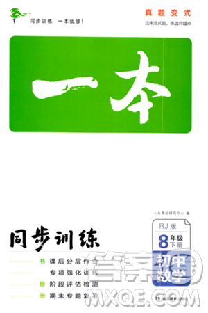 湖南教育出版社2024年春一本同步训练八年级数学下册人教版答案