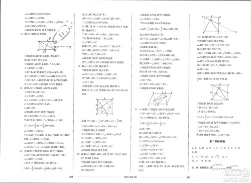 山东科学技术出版社2024年春同步练习册配套单元检测卷八年级数学下册通用版参考答案