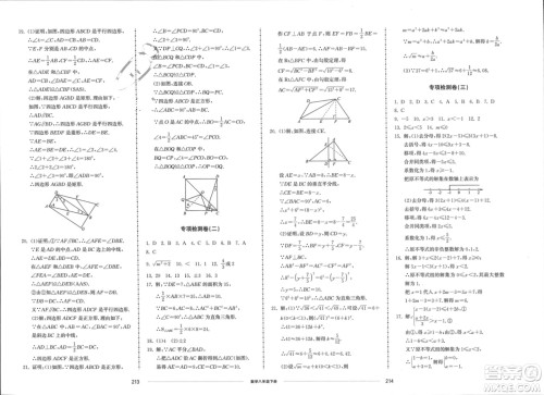 山东科学技术出版社2024年春同步练习册配套单元检测卷八年级数学下册通用版参考答案