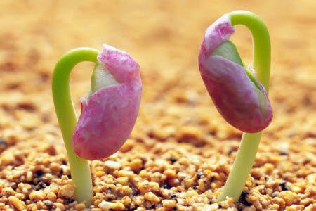 青年向未来材料作文800字 关于青年向未来的材料作文800字 青年向未来材料作文800字 关于青年向未来的材料作文800字