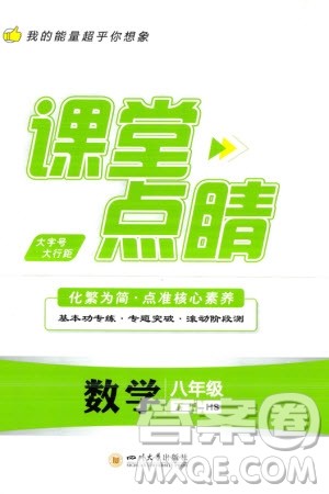 四川大学出版社2024年春课堂点睛八年级数学下册华师大版参考答案