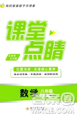 四川大学出版社2024年春课堂点睛八年级数学下册沪科版参考答案