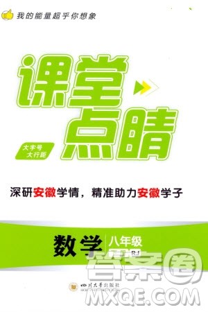 四川大学出版社2024年春课堂点睛八年级数学下册人教版安徽专版参考答案