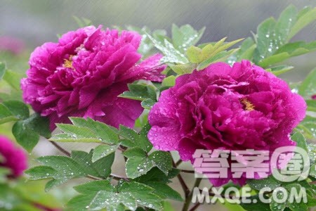 适当地间隔疏离现实生活材料作文800字 关于适当地间隔疏离现实生活的材料作文800字