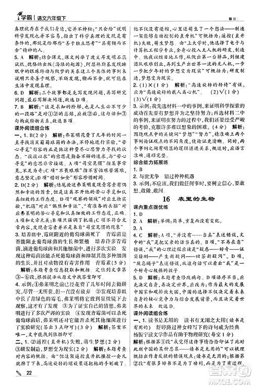 甘肃少年儿童出版社2024年春5星学霸六年级语文下册通用版答案