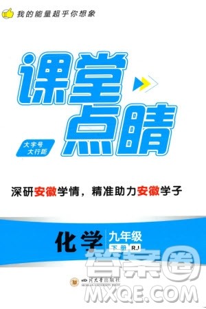 四川大学出版社2024年春课堂点睛九年级化学下册人教版安徽专版参考答案