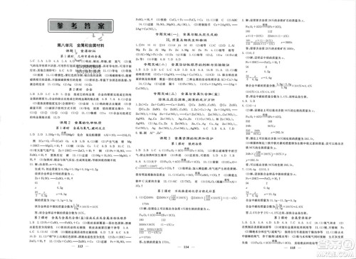 四川大学出版社2024年春课堂点睛九年级化学下册人教版安徽专版参考答案