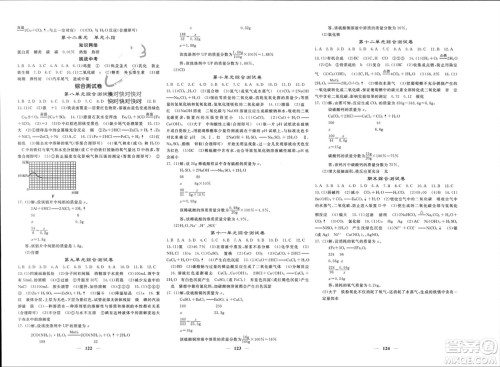 四川大学出版社2024年春课堂点睛九年级化学下册人教版安徽专版参考答案