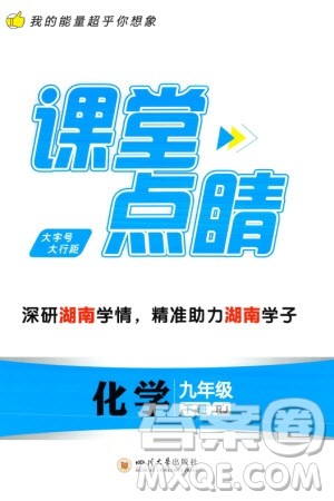 四川大学出版社2024年春课堂点睛九年级化学下册人教版湖南专版参考答案
