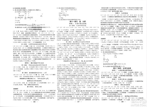 四川大学出版社2024年春课堂点睛九年级化学下册人教版湖南专版参考答案