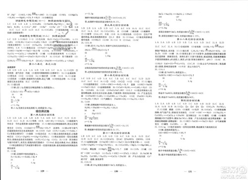 四川大学出版社2024年春课堂点睛九年级化学下册人教版湖南专版参考答案