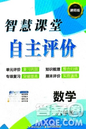 长江少年儿童出版社2024年春智慧课堂自主评价六年级数学下册通用版参考答案