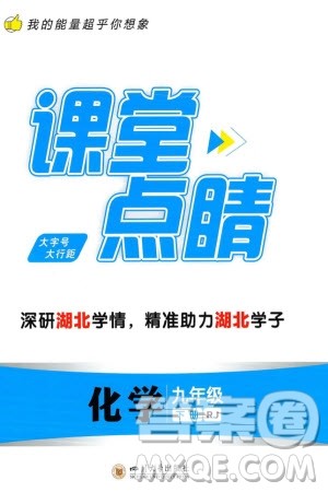 四川大学出版社2024年春课堂点睛九年级化学下册人教版湖北专版参考答案