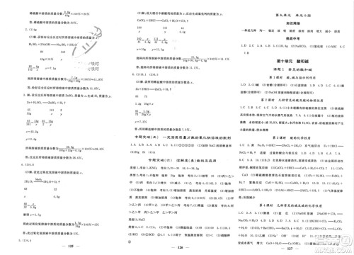 四川大学出版社2024年春课堂点睛九年级化学下册人教版湖北专版参考答案