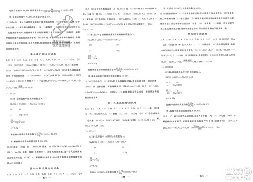 四川大学出版社2024年春课堂点睛九年级化学下册人教版湖北专版参考答案