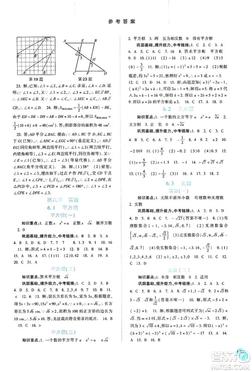 河北人民出版社2024年春同步训练七年级数学下册人教版答案