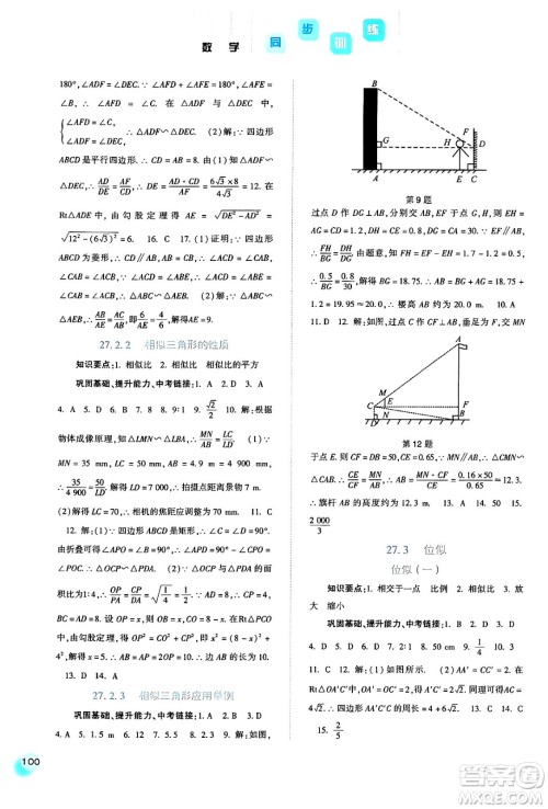 河北人民出版社2024年春同步训练九年级数学下册人教版答案