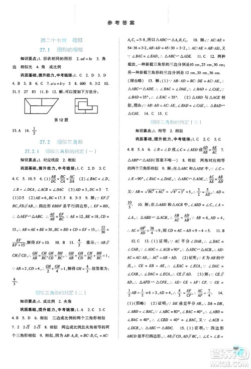 河北人民出版社2024年春同步训练九年级数学下册人教版答案