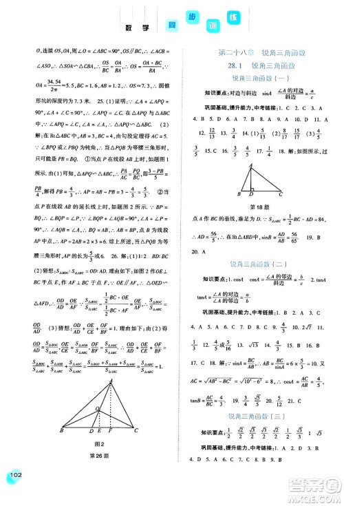 河北人民出版社2024年春同步训练九年级数学下册人教版答案