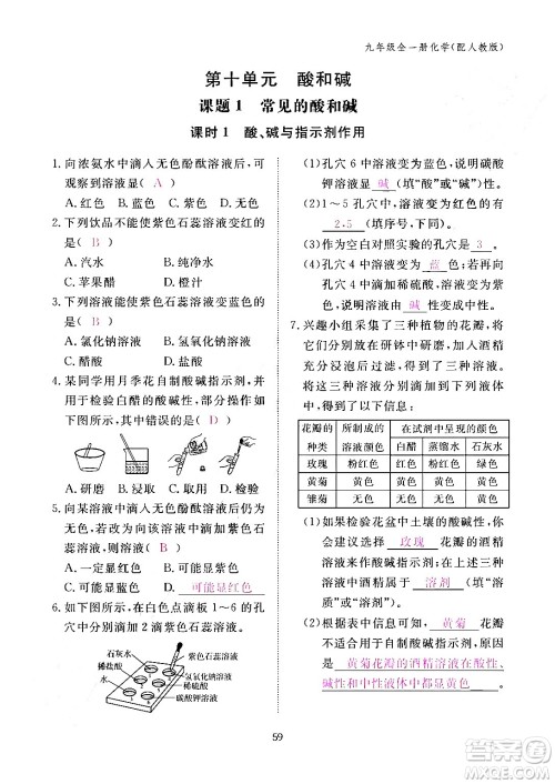 江西教育出版社2024年春化学作业本九年级化学下册人教PEP版答案