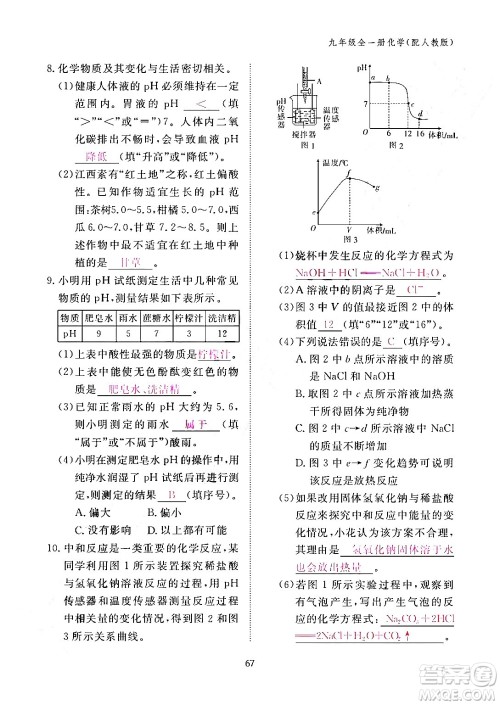 江西教育出版社2024年春化学作业本九年级化学下册人教PEP版答案