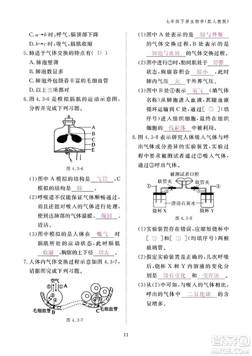 江西教育出版社2024年春生物作业本七年级生物下册人教版答案