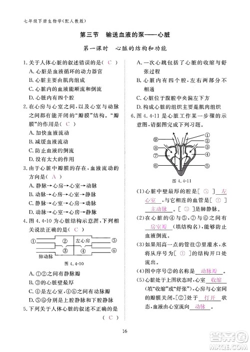 江西教育出版社2024年春生物作业本七年级生物下册人教版答案