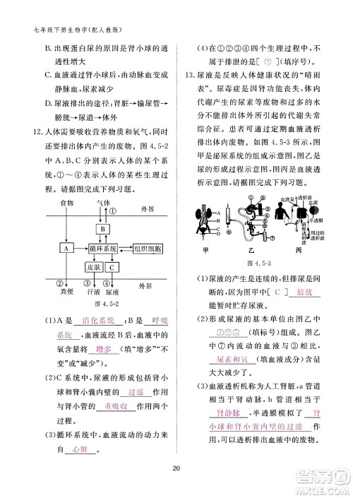 江西教育出版社2024年春生物作业本七年级生物下册人教版答案