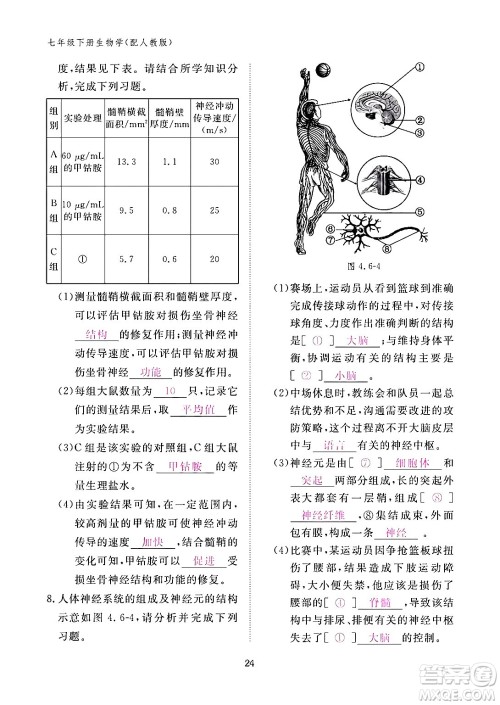 江西教育出版社2024年春生物作业本七年级生物下册人教版答案