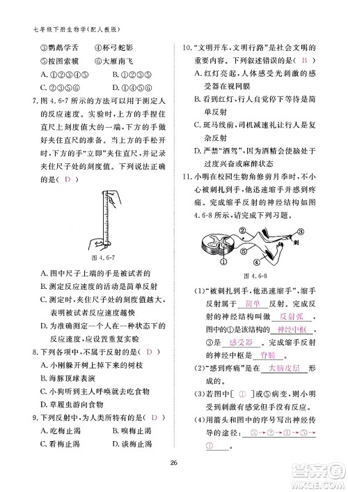 江西教育出版社2024年春生物作业本七年级生物下册人教版答案