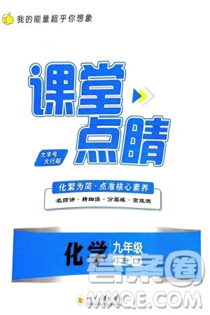 四川大学出版社2024年春课堂点睛九年级化学下册鲁教版参考答案 四川大学出版社2024年春课堂点睛九年级化学下册鲁教版参考答案