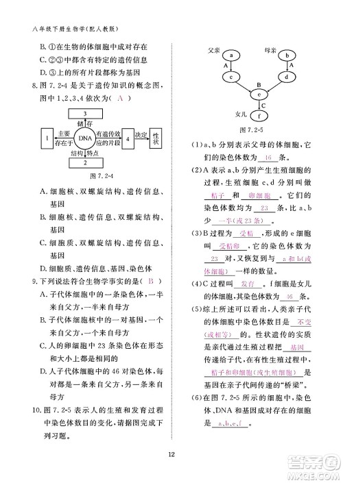 江西教育出版社2024年春生物作业本八年级生物下册人教版答案