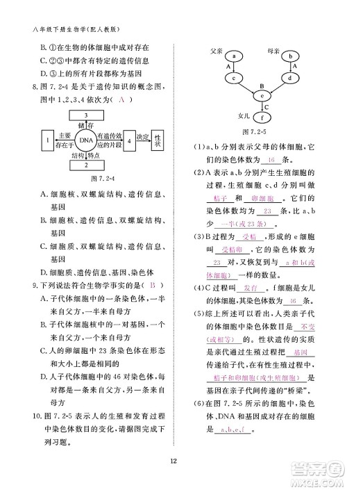 江西教育出版社2024年春生物作业本八年级生物下册人教版答案