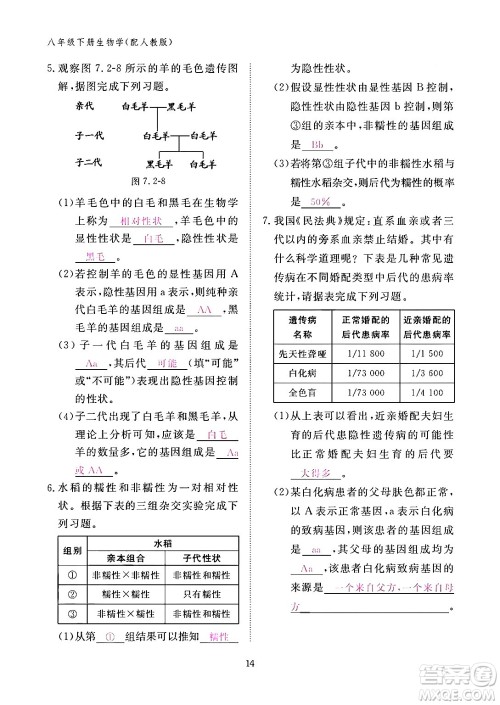 江西教育出版社2024年春生物作业本八年级生物下册人教版答案