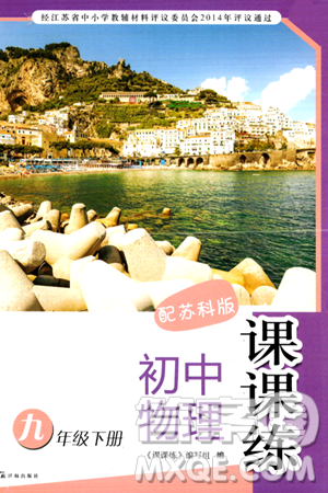 译林出版社2024年初中物理课课练九年级物理下册苏科版答案