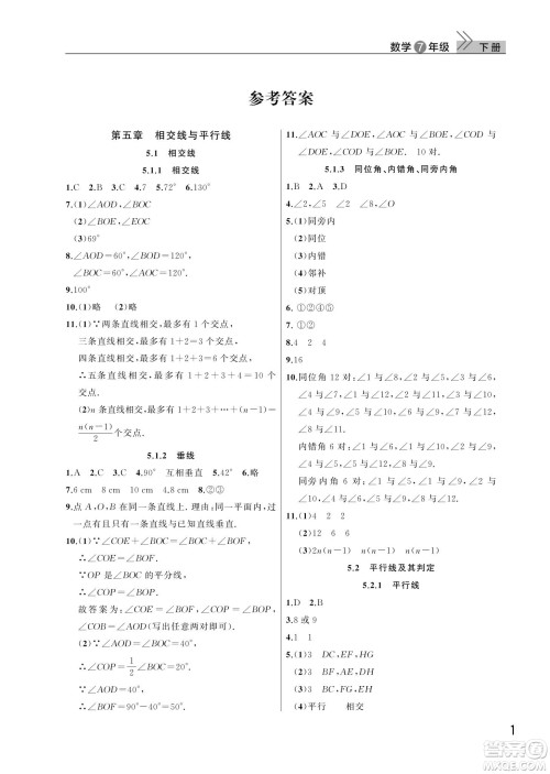 武汉出版社2024年春智慧学习天天向上课堂作业七年级数学下册人教版答案