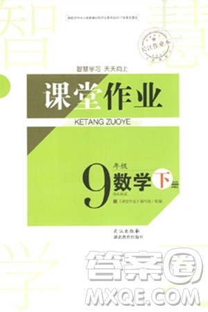 武汉出版社2024年春智慧学习天天向上课堂作业九年级数学下册人教版答案