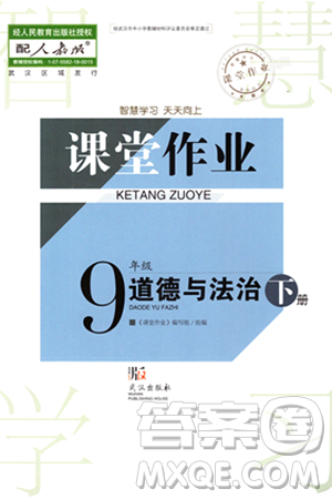 武汉出版社2024年春智慧学习天天向上课堂作业九年级道德与法治下册人教版答案