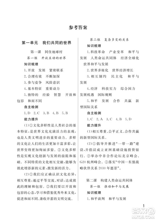 武汉出版社2024年春智慧学习天天向上课堂作业九年级道德与法治下册人教版答案