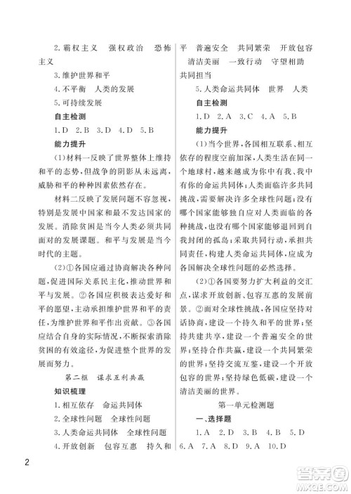 武汉出版社2024年春智慧学习天天向上课堂作业九年级道德与法治下册人教版答案